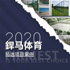 【回顧】2020年體育全年精選項目案例！